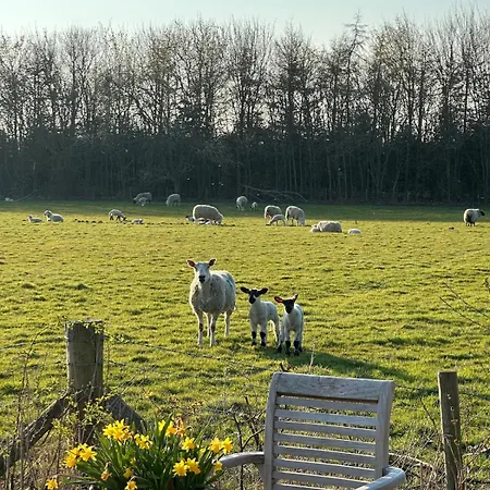 Holiday home Henge Hideaway