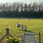 Dom wakacyjny Henge Hideaway