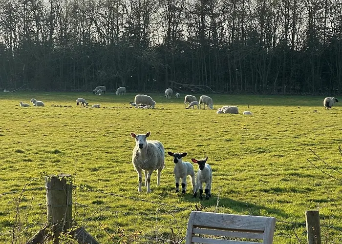Nyaraló Henge Hideaway
